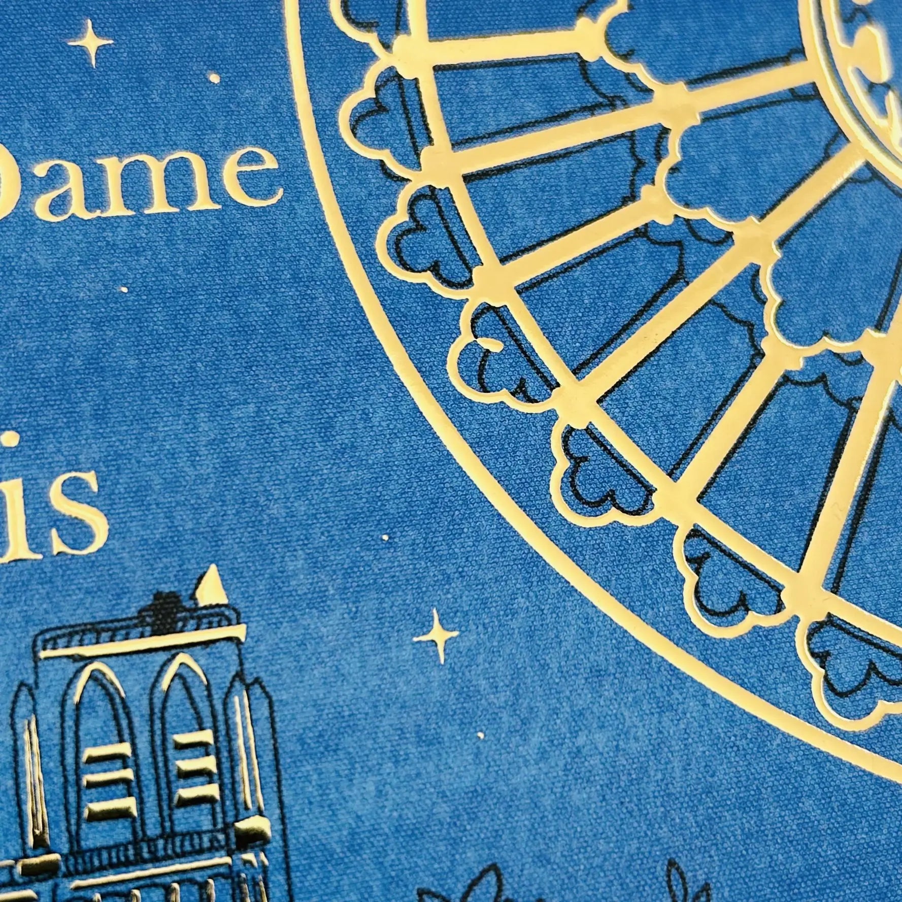 Boite infusion fruit de la passion - BIO - Gauclin