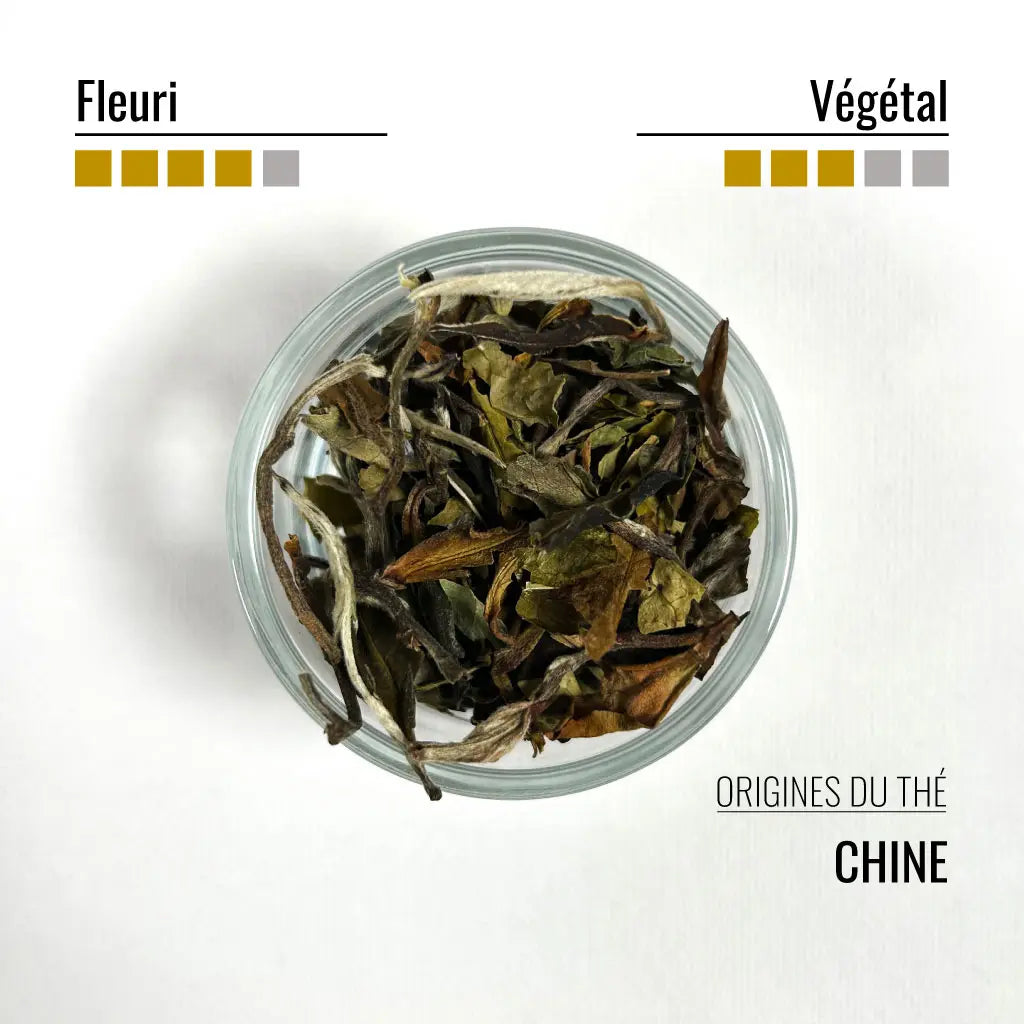 Thé blanc lavande - BIO - Gauclin