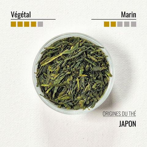 Thé vert Sencha bio | Gauclin